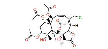 Briarein J